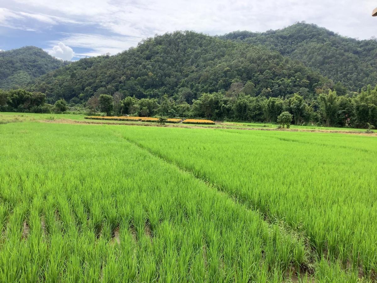 บ้านสวนวิวทุ่ง Ban Mae Sap Nua Exterior photo