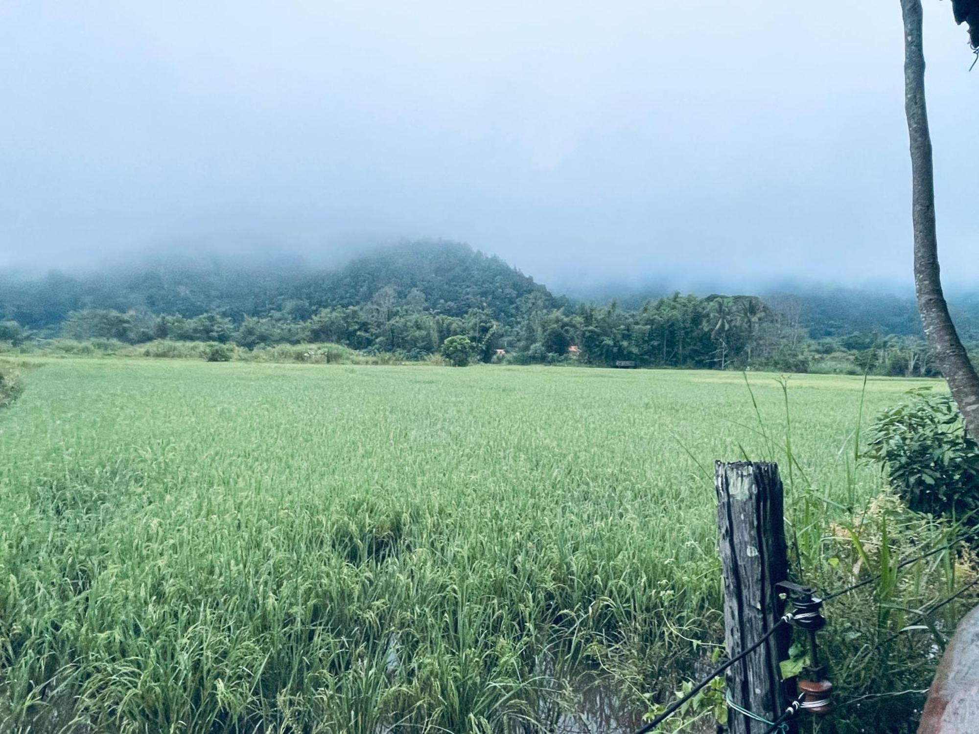 บ้านสวนวิวทุ่ง Ban Mae Sap Nua Exterior photo