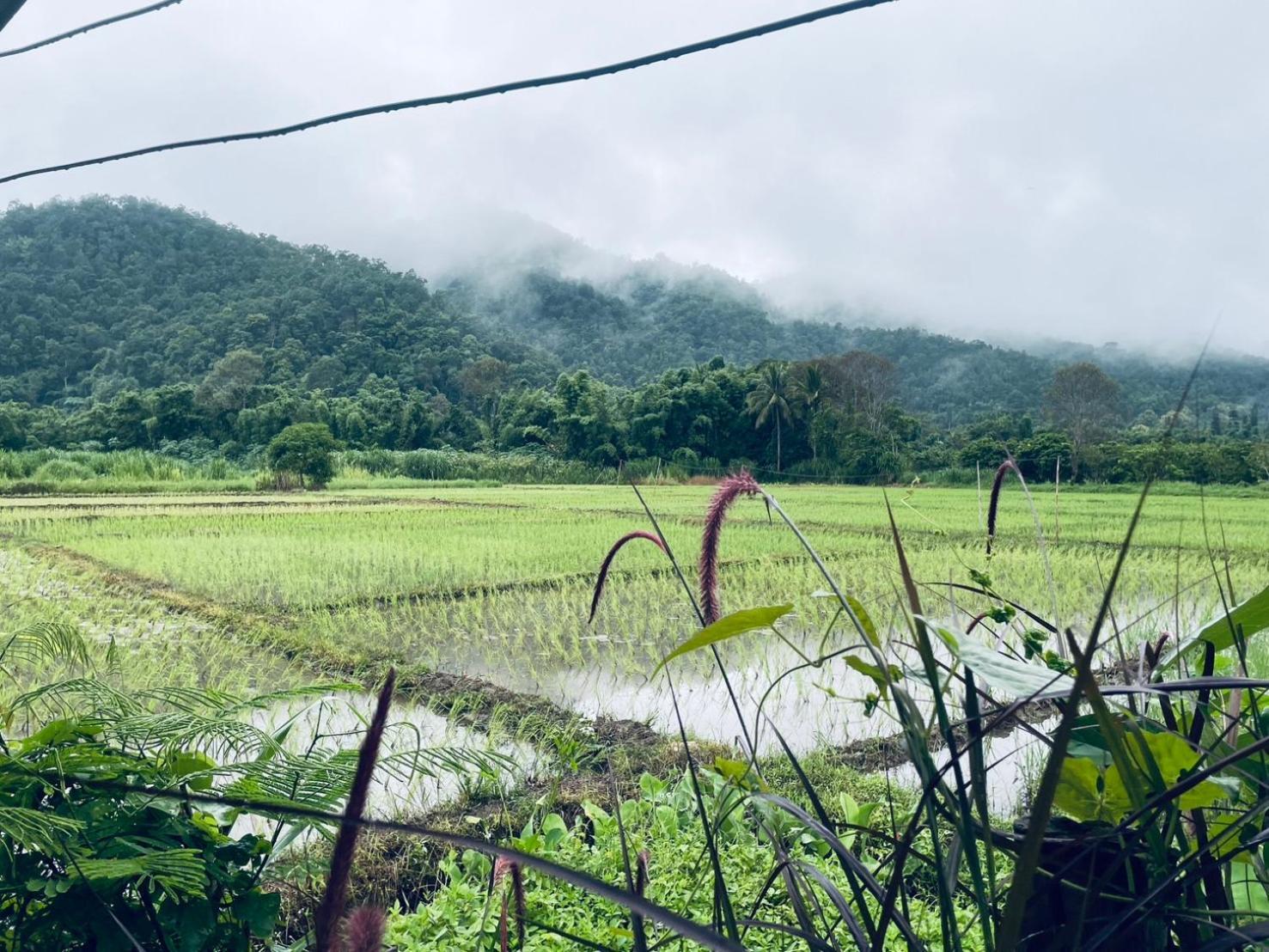 บ้านสวนวิวทุ่ง Ban Mae Sap Nua Exterior photo