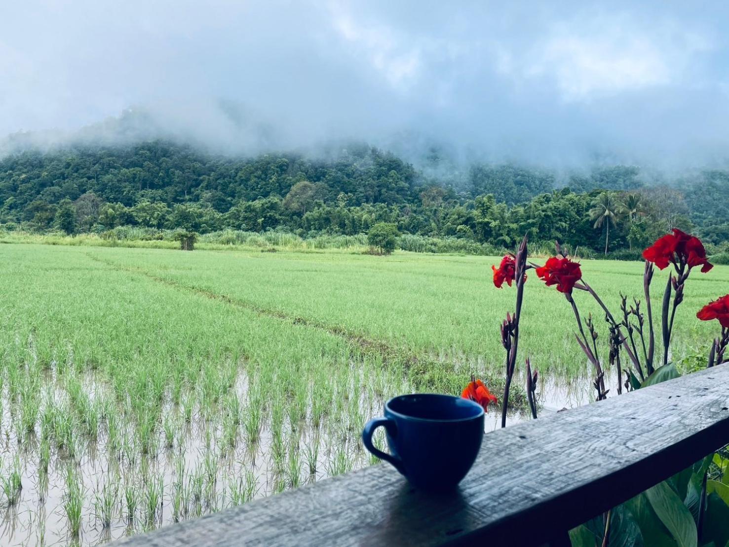 บ้านสวนวิวทุ่ง Ban Mae Sap Nua Exterior photo