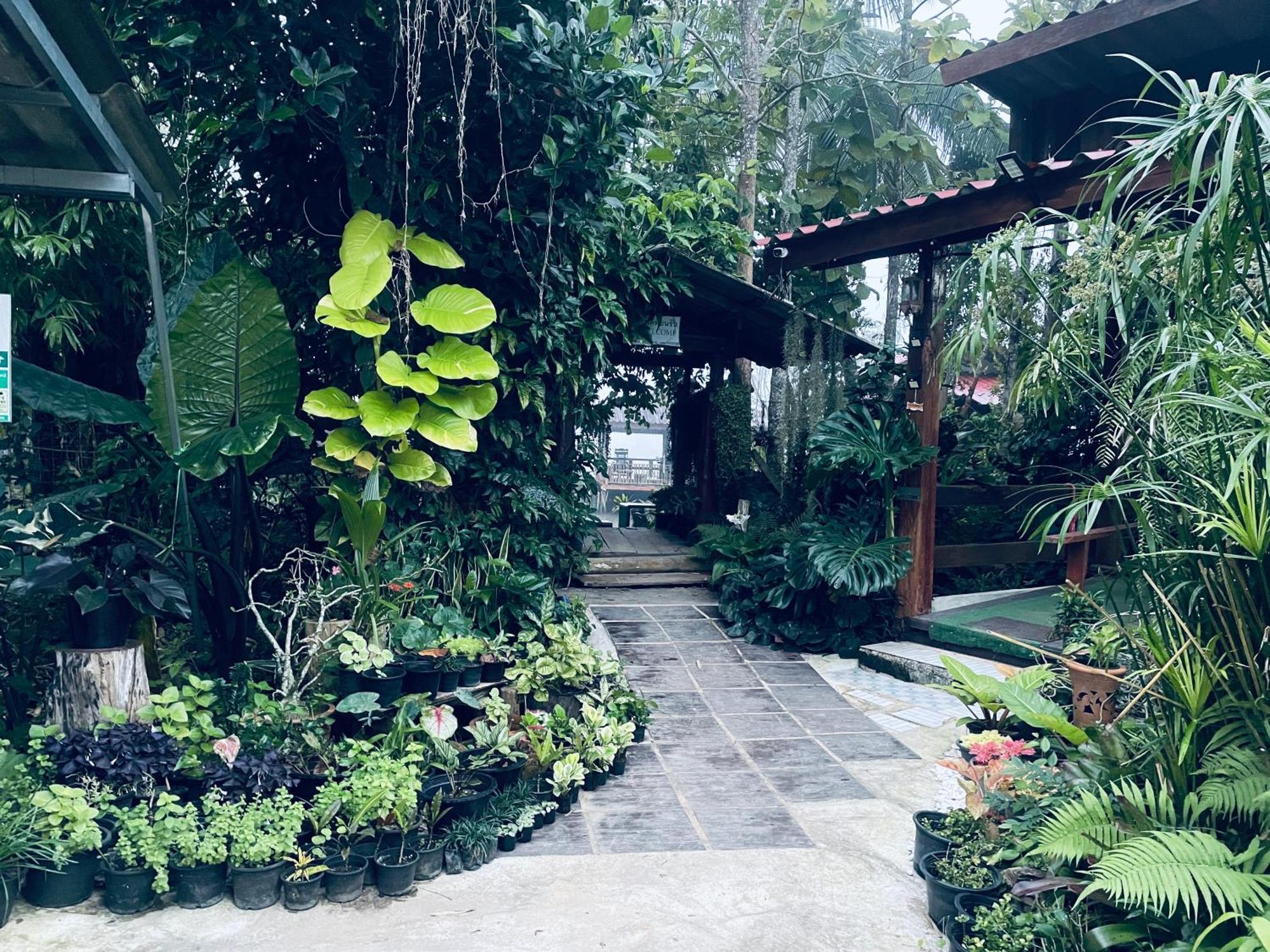 บ้านสวนวิวทุ่ง Ban Mae Sap Nua Exterior photo