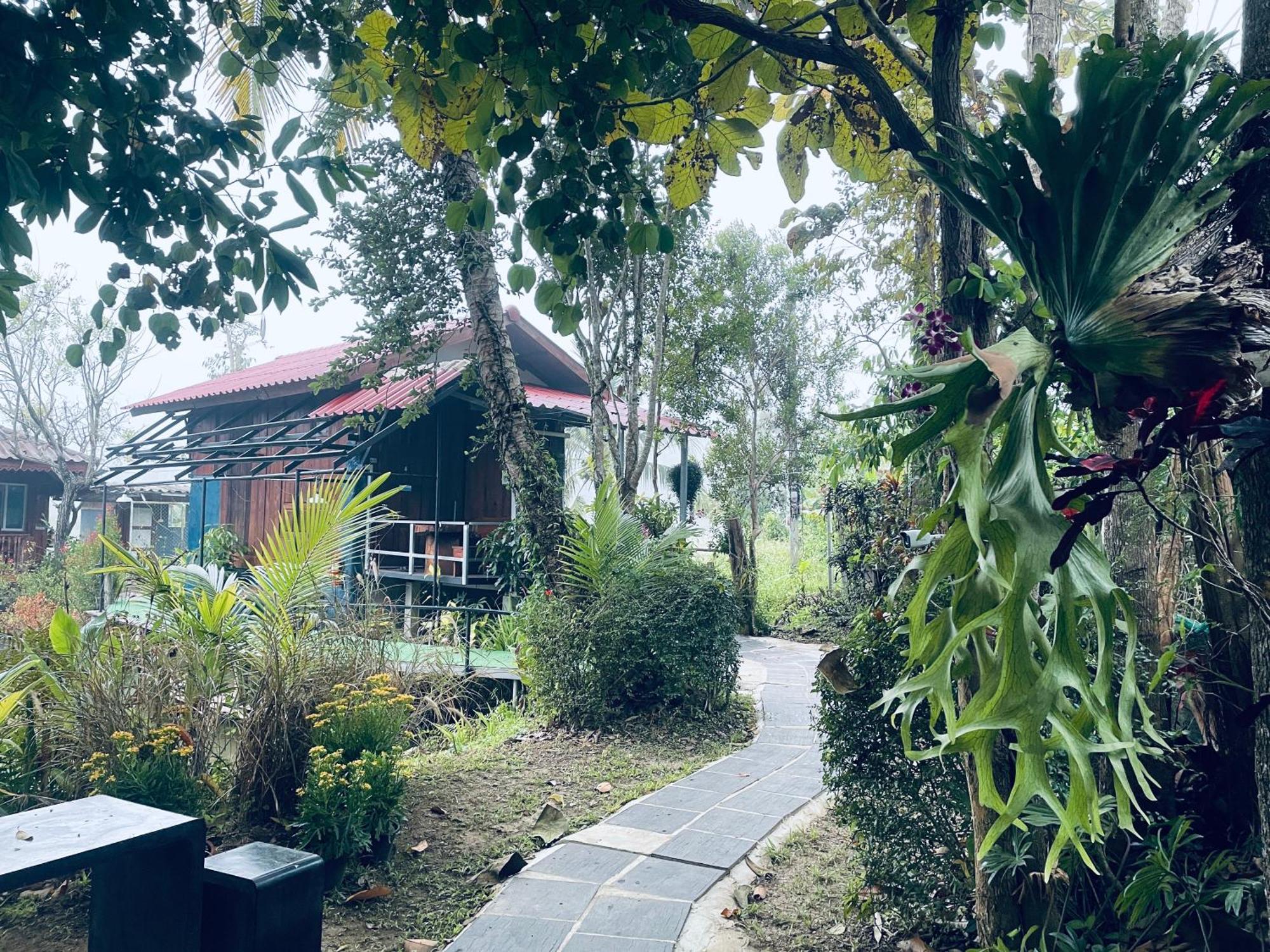 บ้านสวนวิวทุ่ง Ban Mae Sap Nua Exterior photo